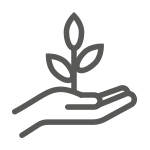 Ada Fintech Stewardship